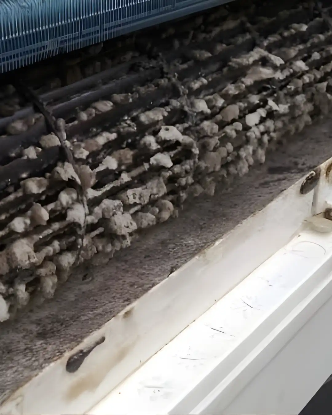 Airborne Mould in Hong Kong Homes: Health Risks, Hidden Sources and Removal 2 Mould and dust build-up on the blower fan inside a split type air conditioner