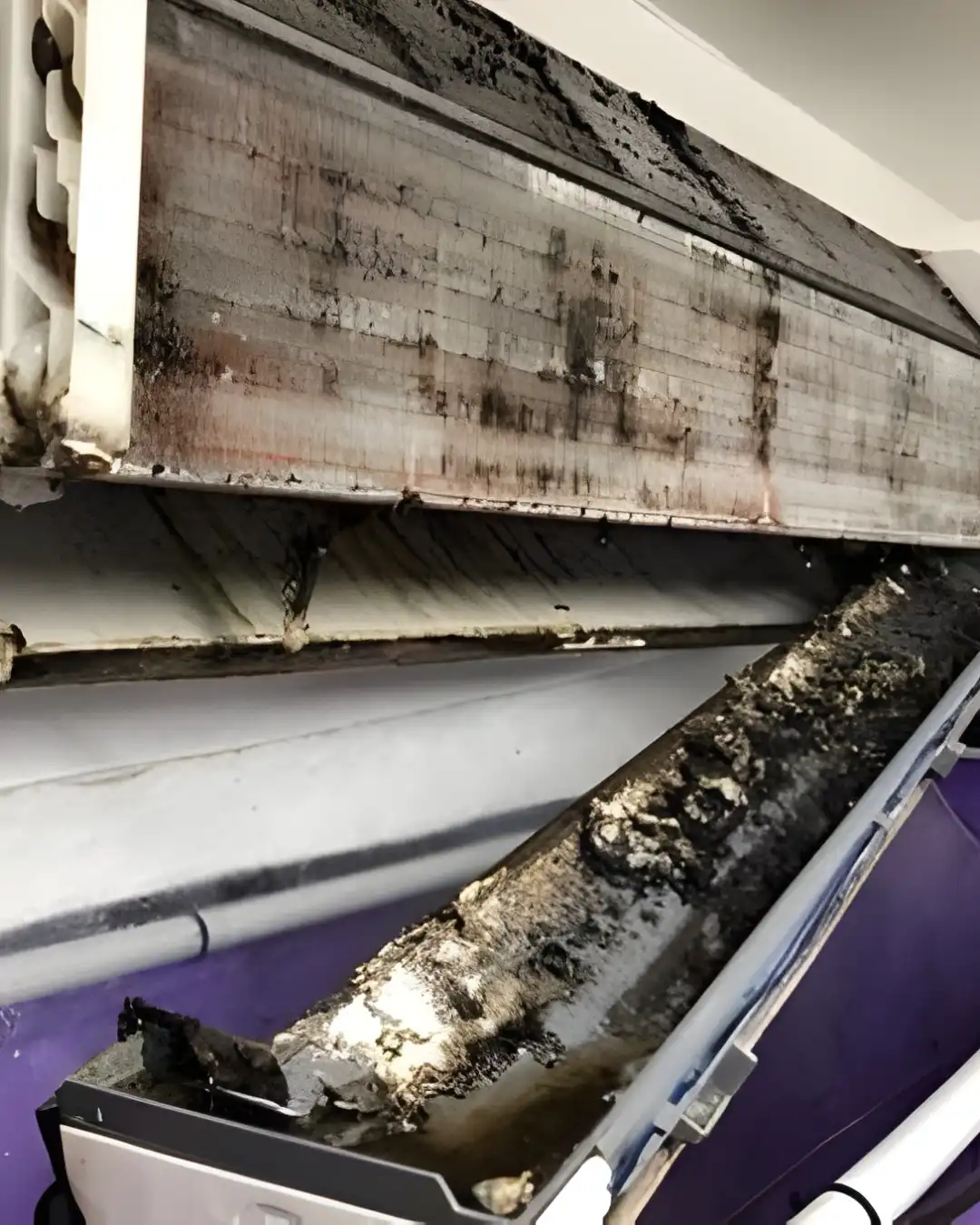 Airborne Mould in Hong Kong Homes: Health Risks, Hidden Sources and Removal 3 Black mould on an air conditioner evaporator coil and a dirty drain tray before professional cleaning