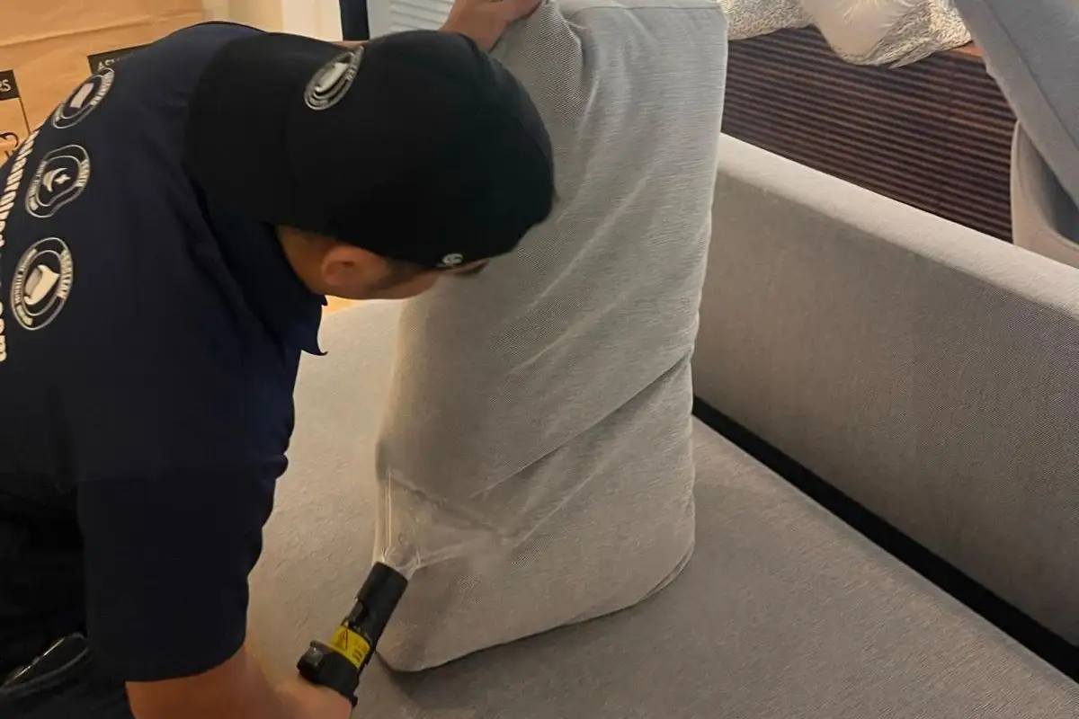 proclean-home-proclean-006