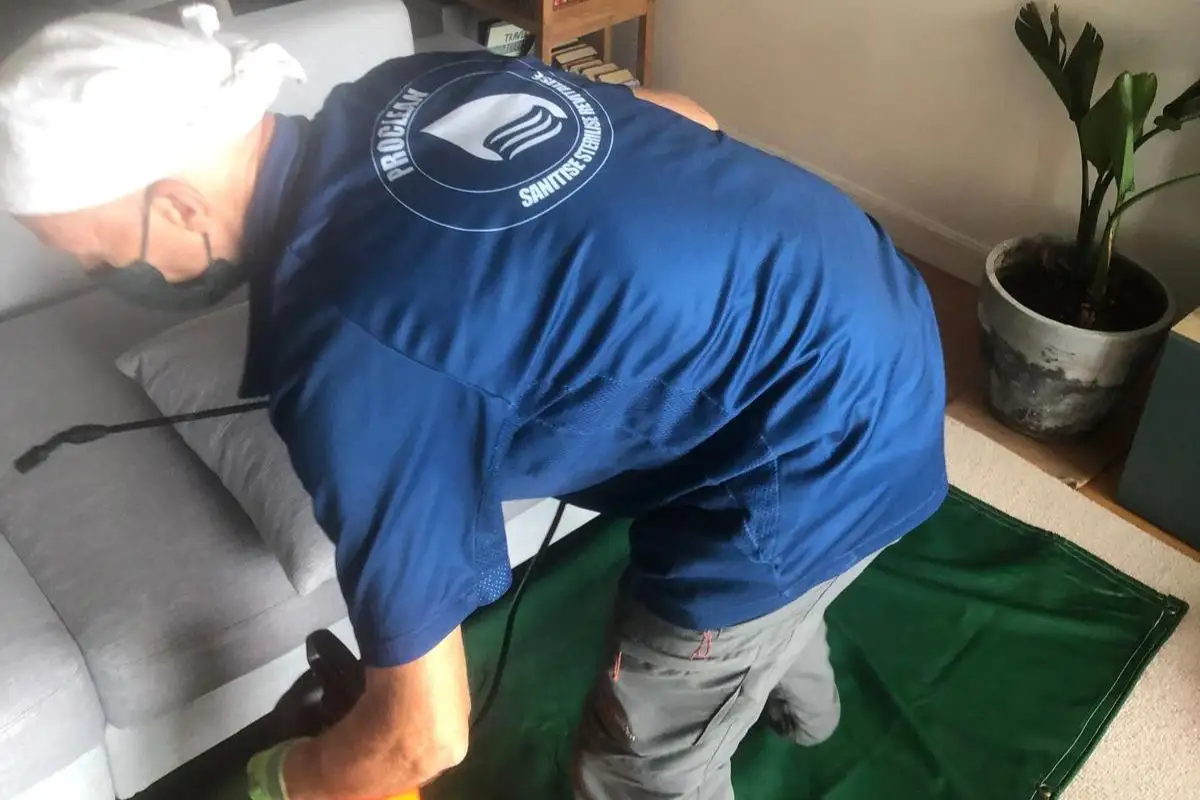 proclean-home-proclean-008