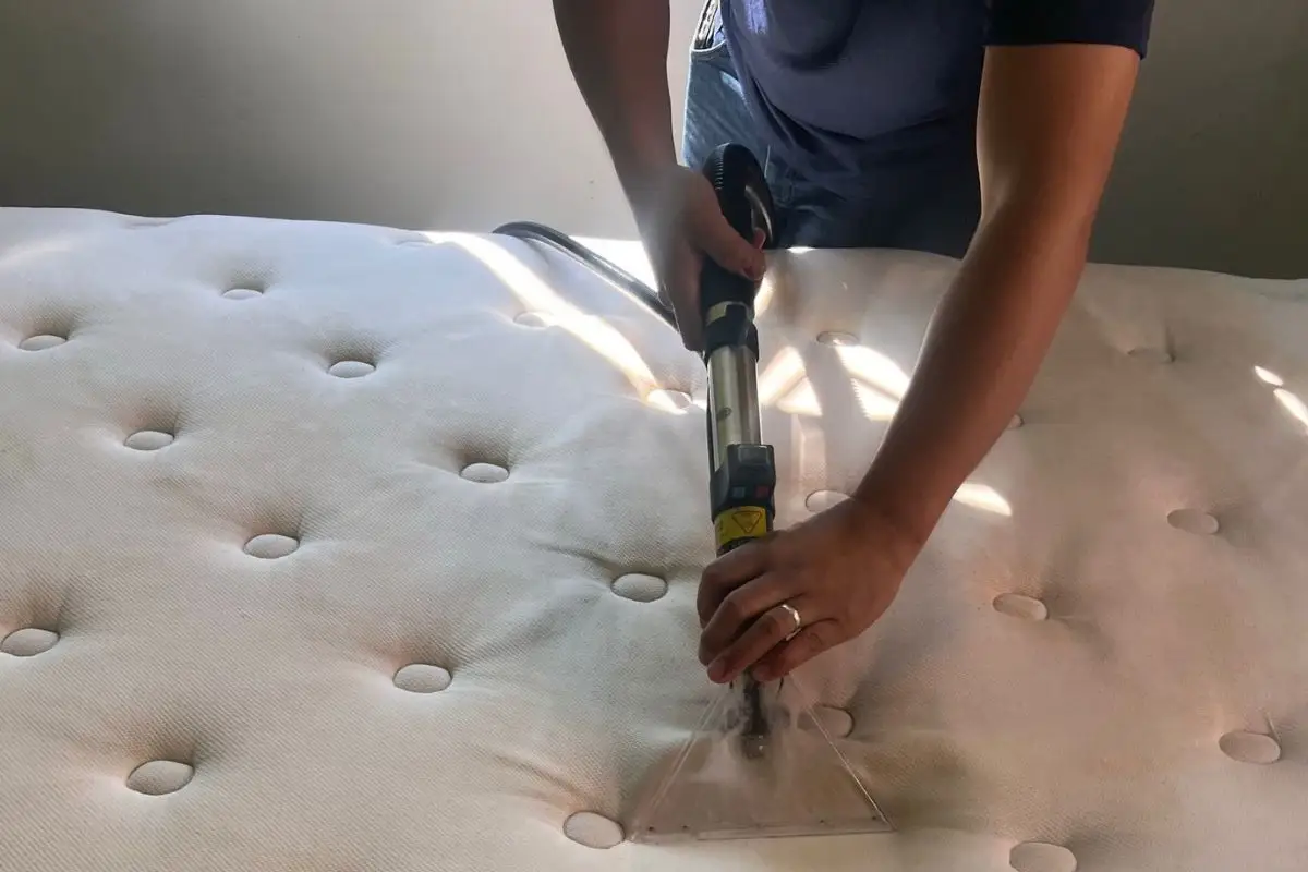 proclean-home-proclean-009